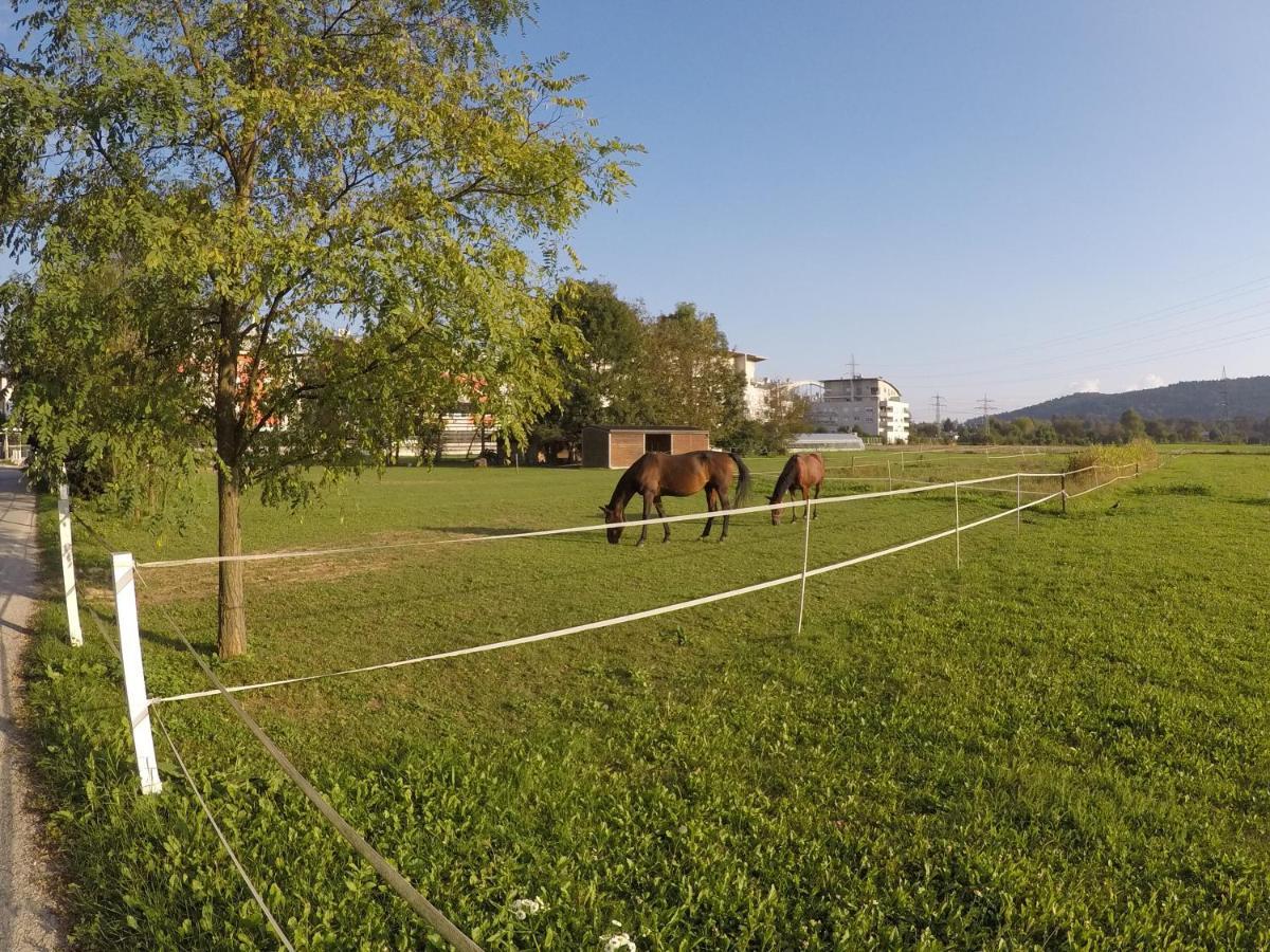 Pearl Of Sava Wild Waters Villa Ljubljana Dış mekan fotoğraf